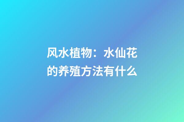 风水植物：水仙花的养殖方法有什么