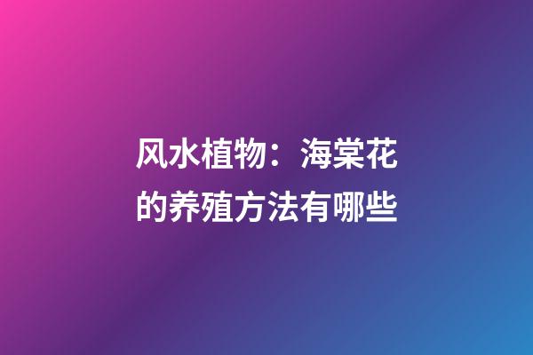 风水植物：海棠花的养殖方法有哪些