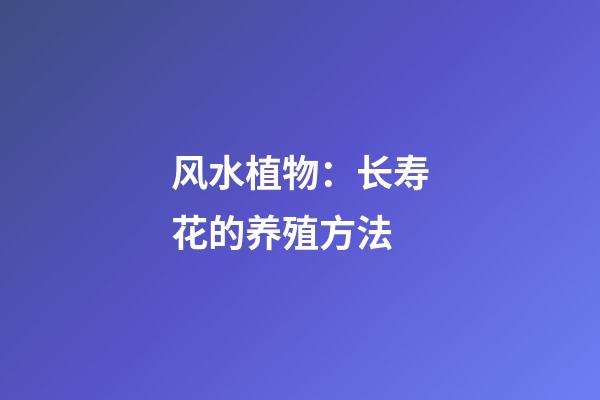风水植物：长寿花的养殖方法