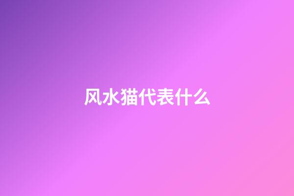 风水猫代表什么