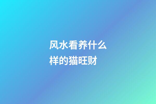 风水看养什么样的猫旺财