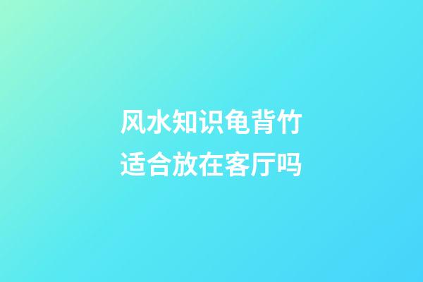 风水知识龟背竹适合放在客厅吗