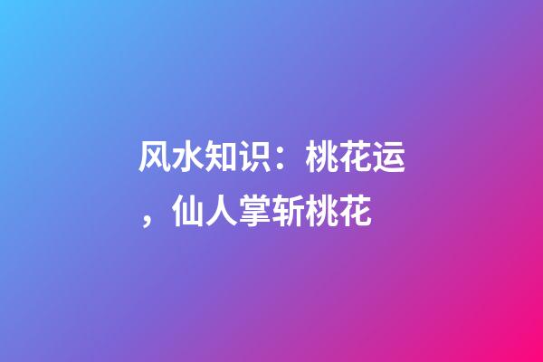 风水知识：桃花运，仙人掌斩桃花