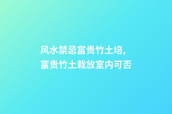 风水禁忌富贵竹土培,富贵竹土栽放室内可否