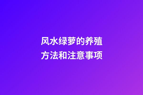 风水绿萝的养殖方法和注意事项