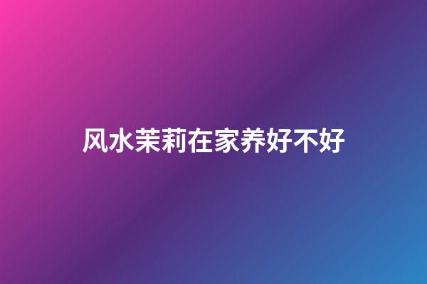 风水茉莉在家养好不好