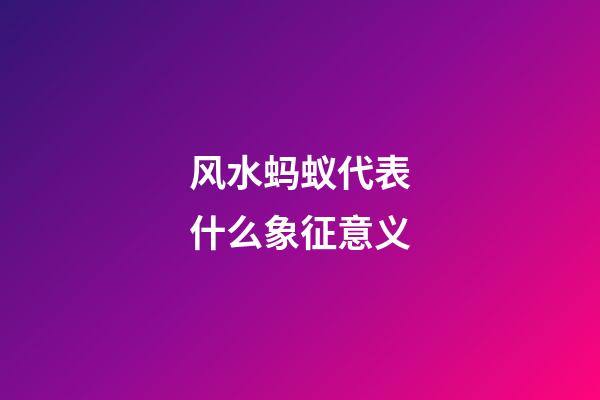 风水蚂蚁代表什么象征意义