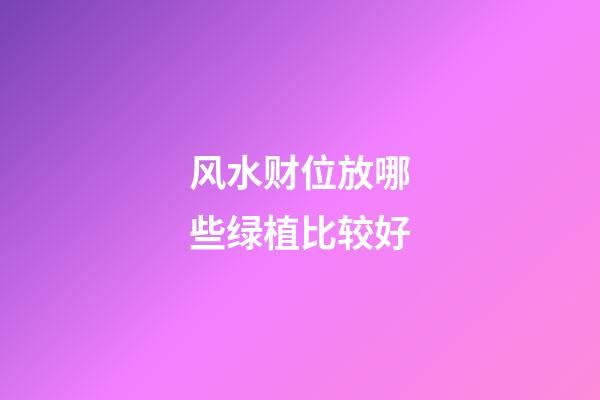 风水财位放哪些绿植比较好