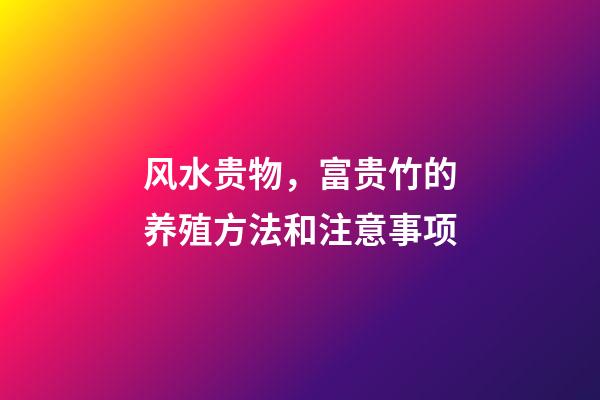 风水贵物，富贵竹的养殖方法和注意事项
