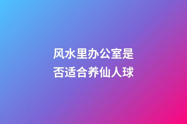 风水里办公室是否适合养仙人球