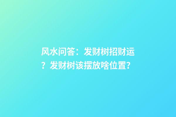 风水问答：发财树招财运？发财树该摆放啥位置？