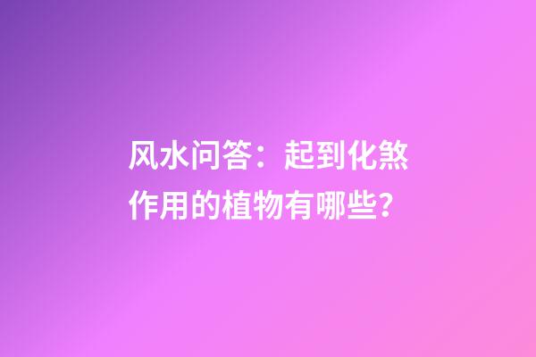 风水问答：起到化煞作用的植物有哪些？