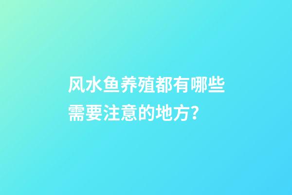 风水鱼养殖都有哪些需要注意的地方？