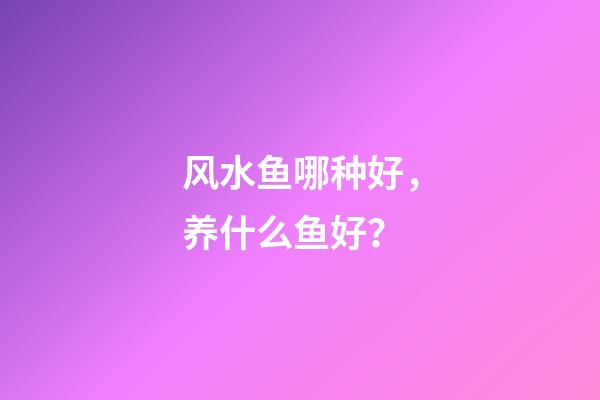 风水鱼哪种好，养什么鱼好？