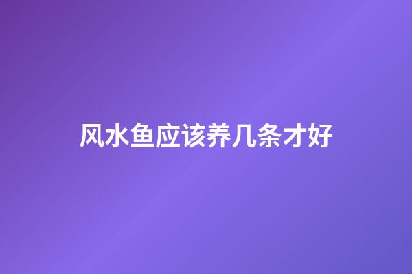 风水鱼应该养几条才好