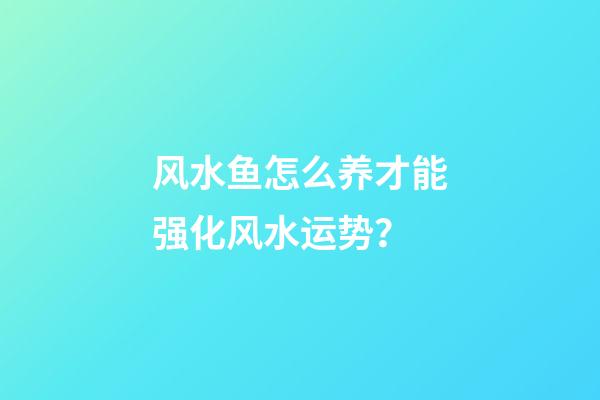 风水鱼怎么养才能强化风水运势？