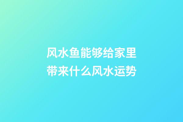风水鱼能够给家里带来什么风水运势