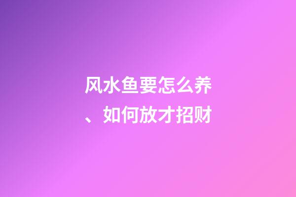 风水鱼要怎么养、如何放才招财?