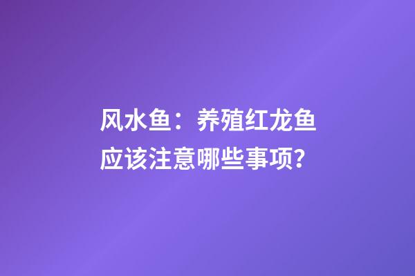 风水鱼：养殖红龙鱼应该注意哪些事项？