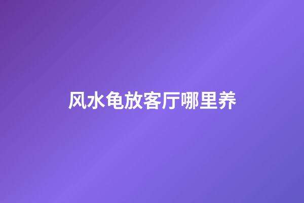 风水龟放客厅哪里养
