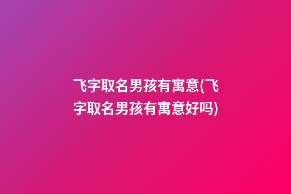 飞字取名男孩有寓意(飞字取名男孩有寓意好吗)