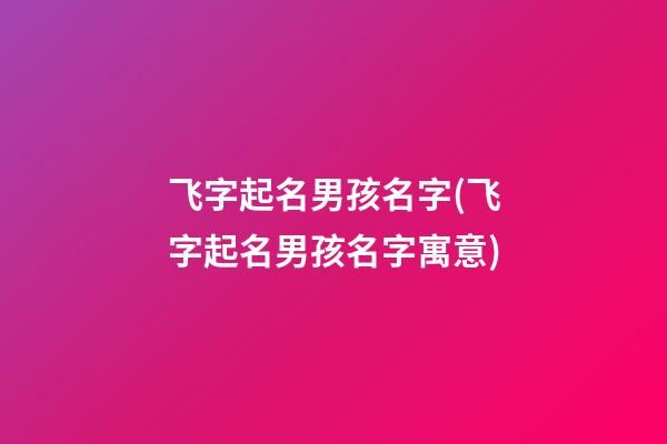 飞字起名男孩名字(飞字起名男孩名字寓意)