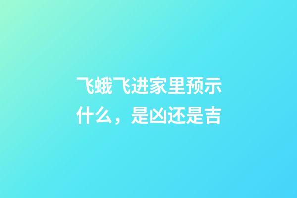 飞蛾飞进家里预示什么，是凶还是吉
