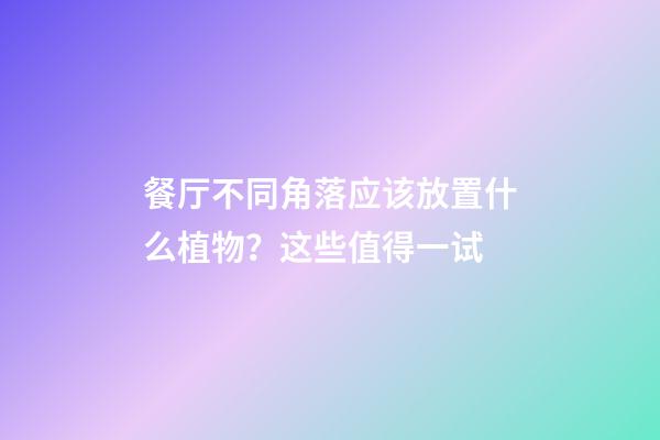 餐厅不同角落应该放置什么植物？这些值得一试
