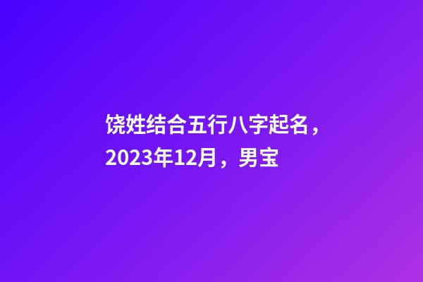 饶姓结合五行八字起名，2023年12月，男宝