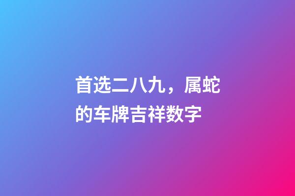 首选二八九，属蛇的车牌吉祥数字