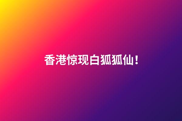 香港惊现白狐狐仙！