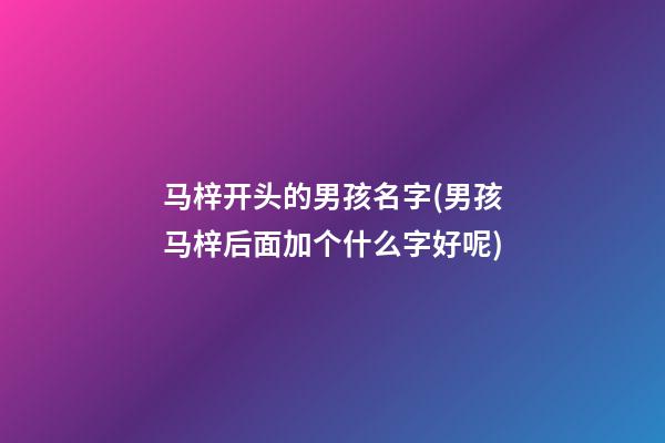 马梓开头的男孩名字(男孩马梓后面加个什么字好呢)