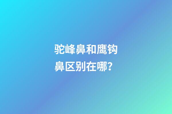 驼峰鼻和鹰钩鼻区别在哪？