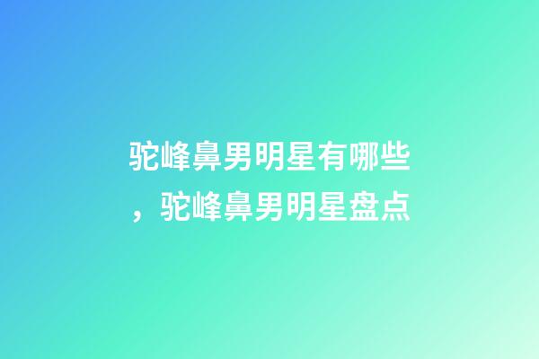 驼峰鼻男明星有哪些，驼峰鼻男明星盘点