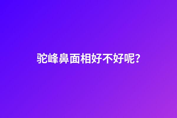 驼峰鼻面相好不好呢？
