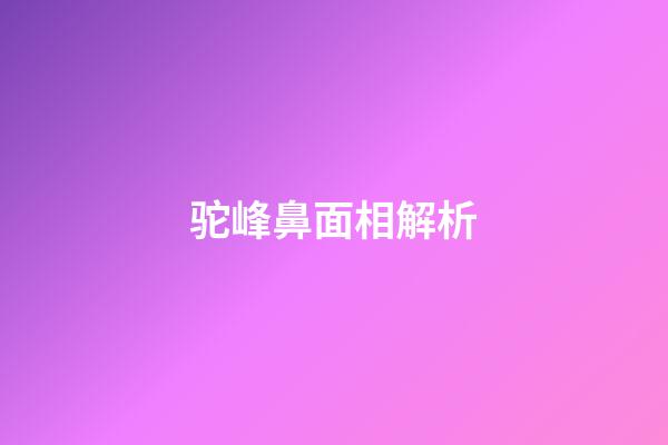 驼峰鼻面相解析