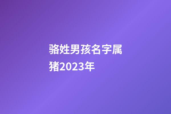 骆姓男孩名字属猪2023年