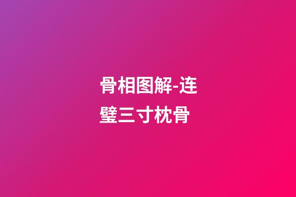 骨相图解-连璧三寸枕骨