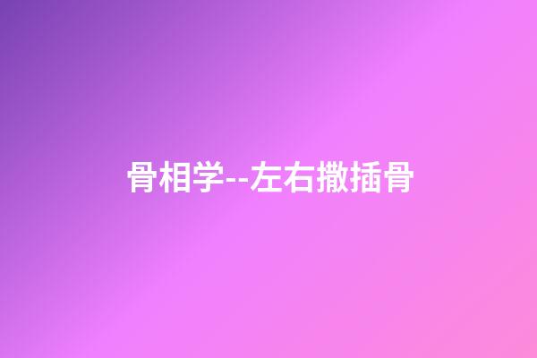 骨相学--左右撒插骨