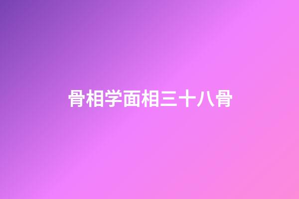 骨相学面相三十八骨