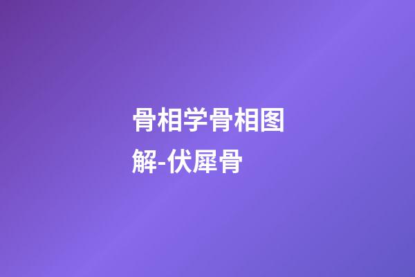 骨相学骨相图解-伏犀骨