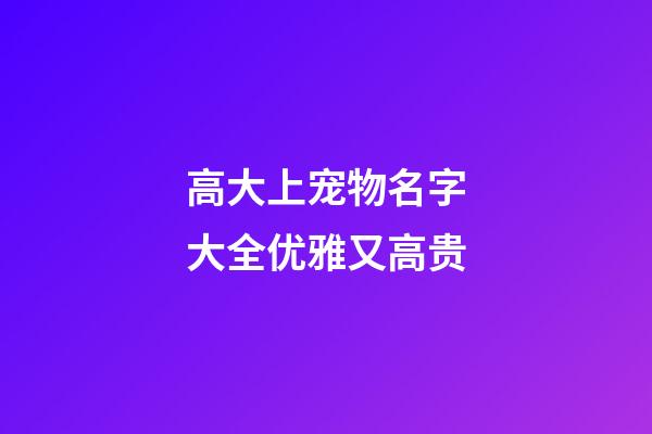 高大上宠物名字大全优雅又高贵