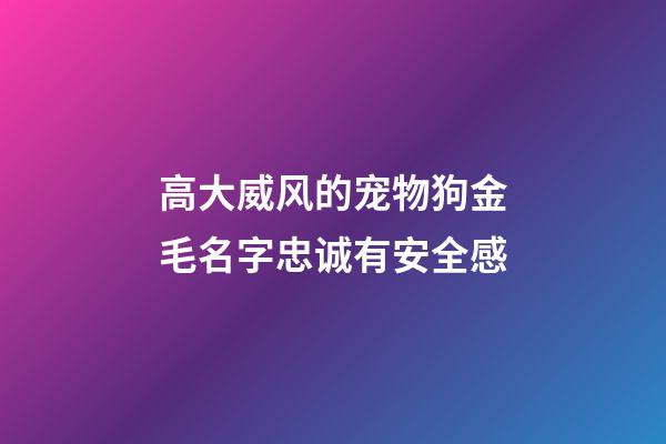 高大威风的宠物狗金毛名字忠诚有安全感