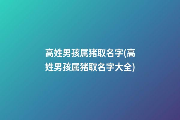 高姓男孩属猪取名字(高姓男孩属猪取名字大全)