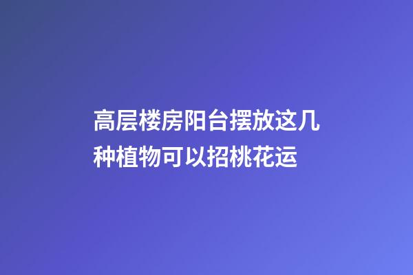 高层楼房阳台摆放这几种植物可以招桃花运