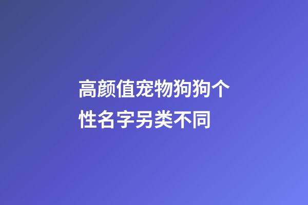 高颜值宠物狗狗个性名字另类不同