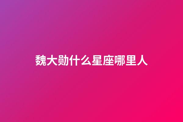 魏大勋什么星座哪里人-第1张-星座运势-玄机派