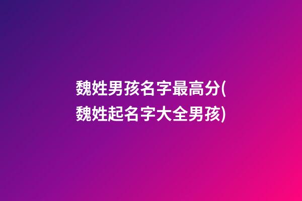 魏姓男孩名字最高分(魏姓起名字大全男孩)
