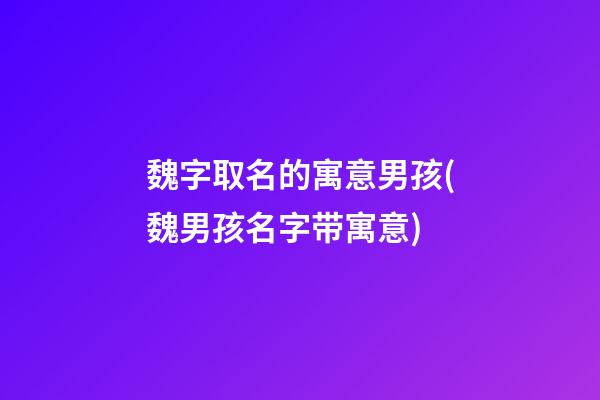 魏字取名的寓意男孩(魏男孩名字带寓意)