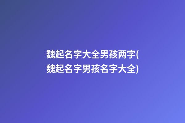 魏起名字大全男孩两字(魏起名字男孩名字大全)